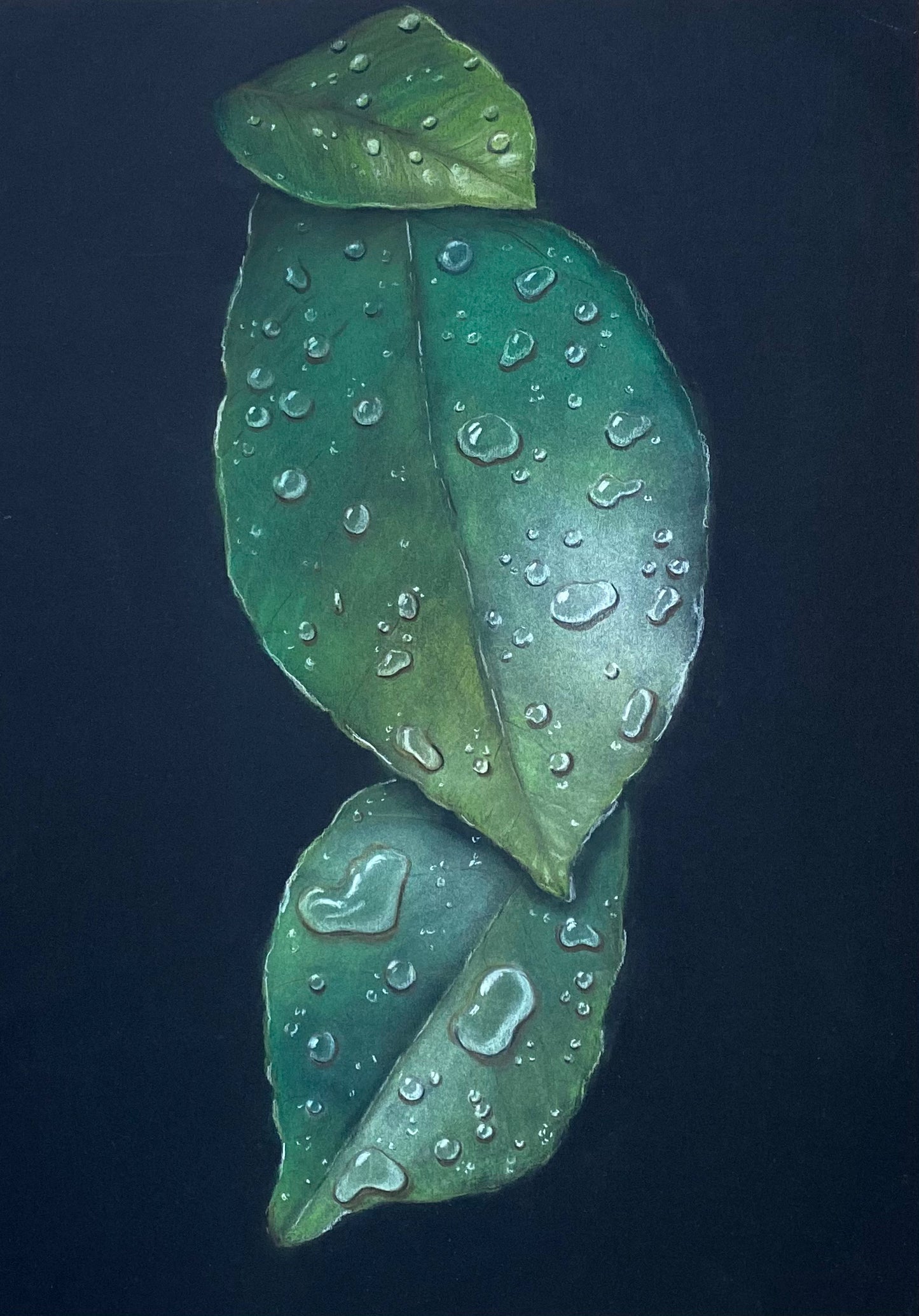 Raindrops.